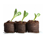 Торф и чернозём